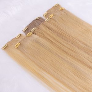 Clip-in Hair Extensions